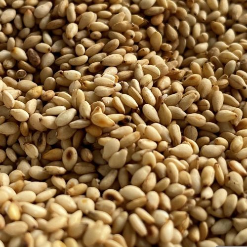 sesame-seeds-6690011